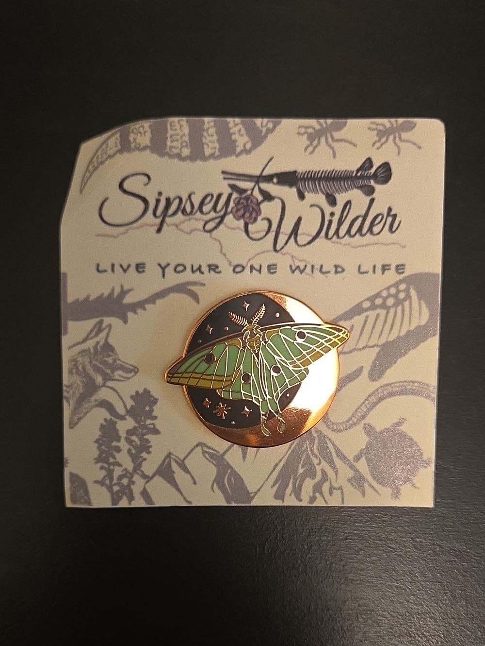 Sipsey Wilder Green Moth Enamel Brooch
